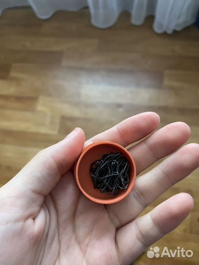 Советские крючки рыболовные