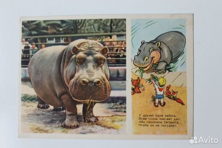 Советские детские открытки 50-х годов