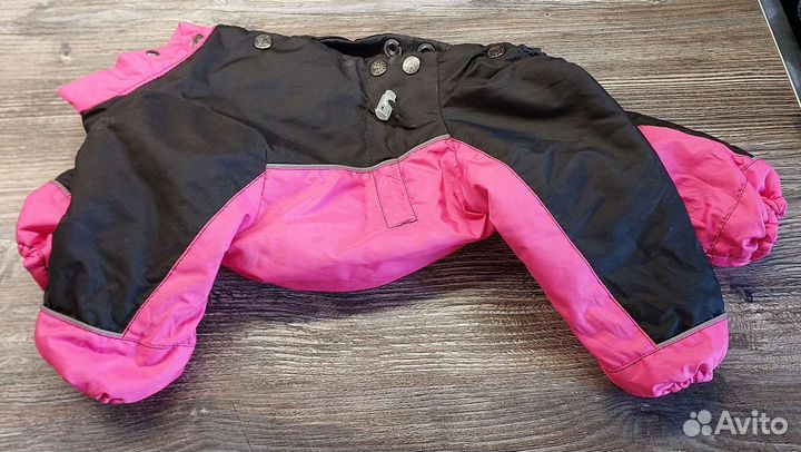 Одежда для собаки