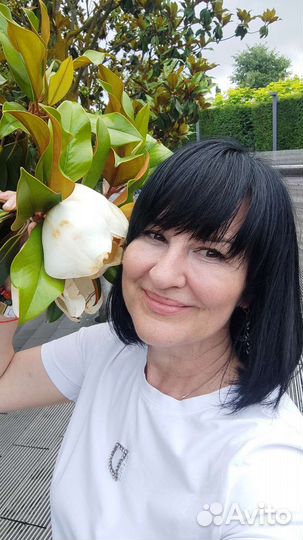 Аппаратный массаж/Коррекция фигуры