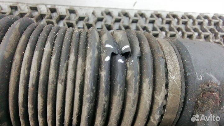 Стойка передняя Volkswagen phaeton 04/2002-03/2016