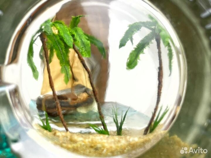 Корабль в бутылке Поморский бот