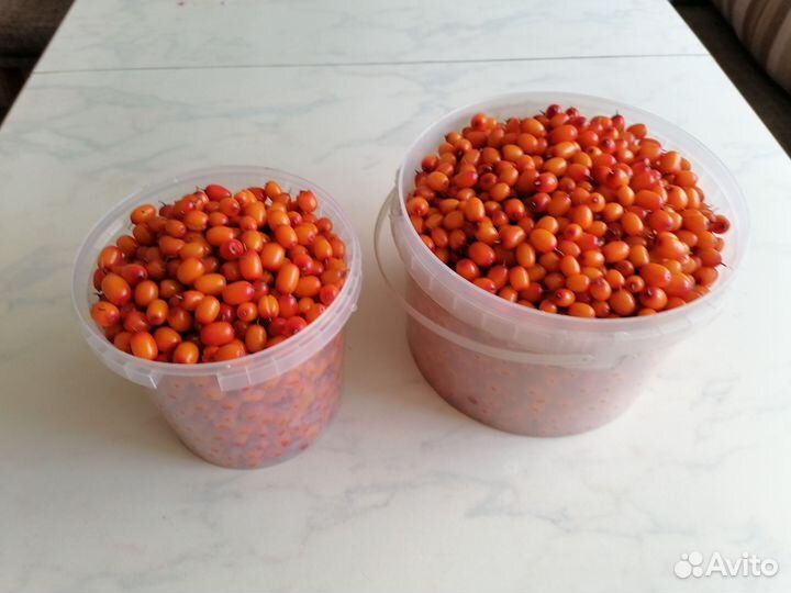 Облепиха ягоды