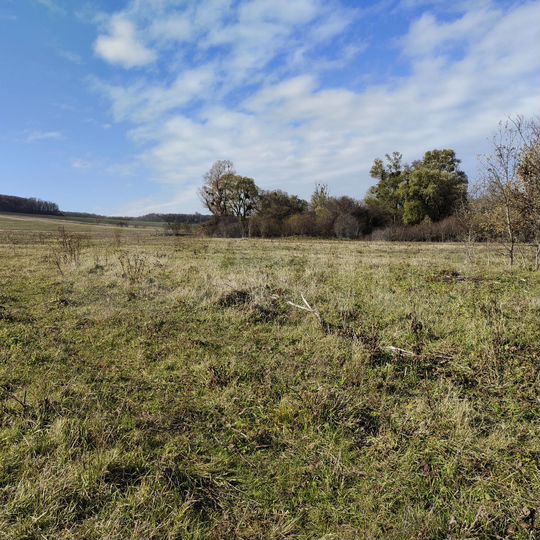 Участок 72 га (СНТ, ДНП)