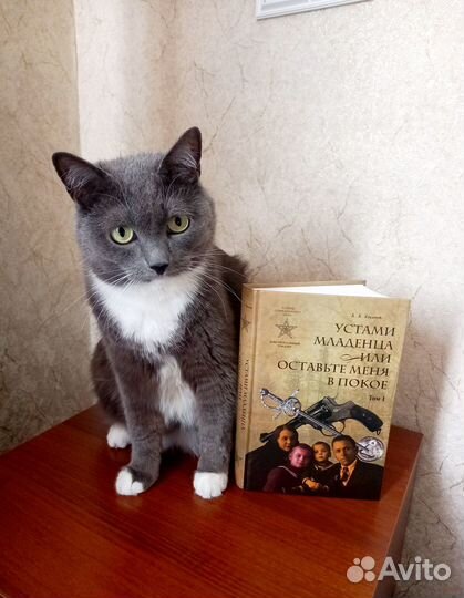 Книги современного автора