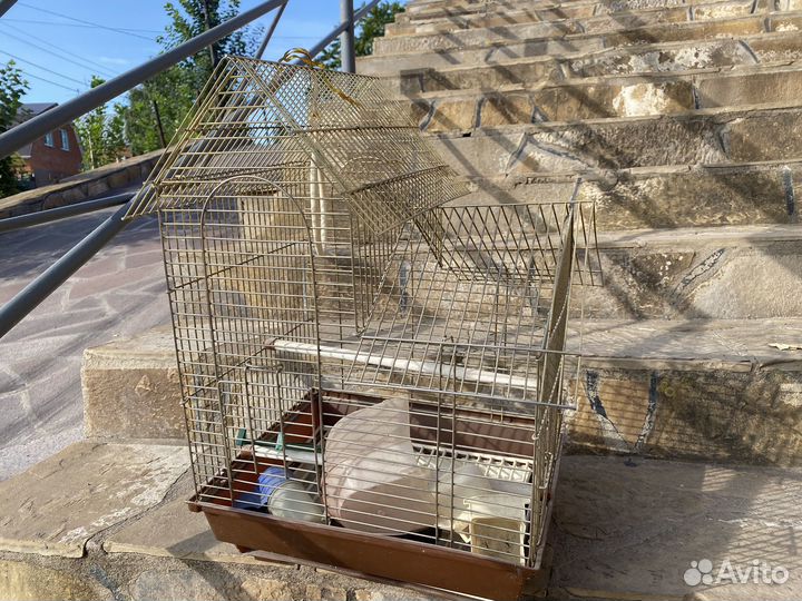 Клетка для попугая