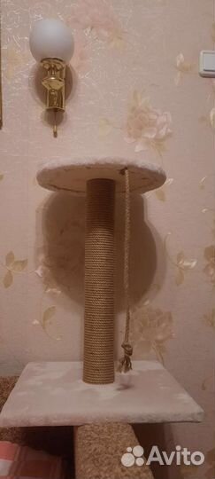 Когтеточка