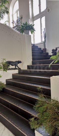 Дом 430 м² на участке 10 сот.