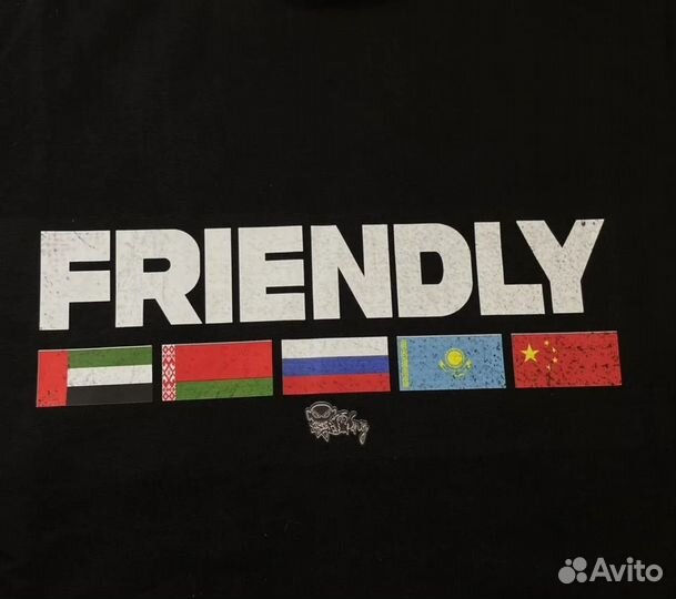 Худи friendly tommy Sinny