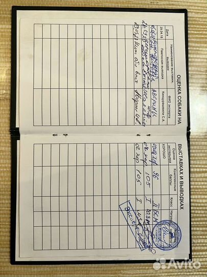 Продам щенков Западносибирской лайки