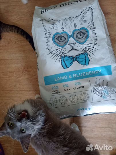 Корм для кошек Best dinner 10 кг /1.5 кг/400 гр