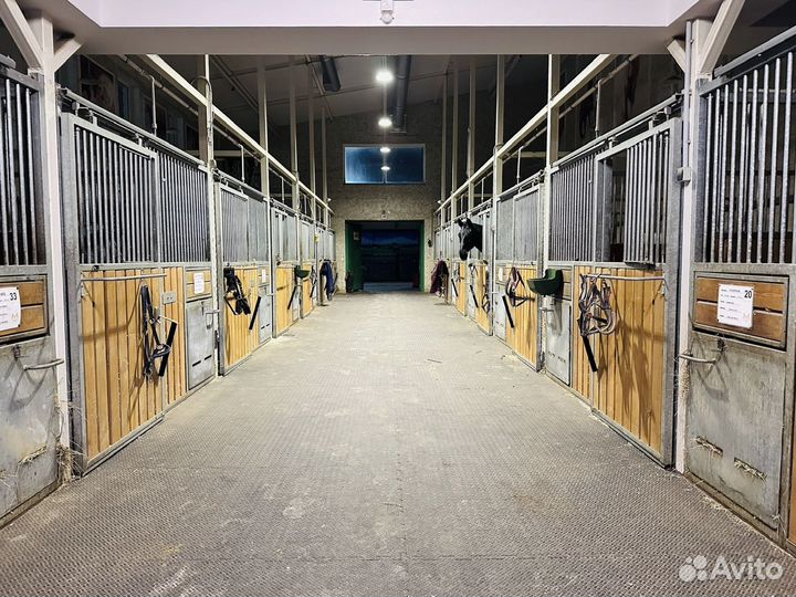 Постой для лошадей