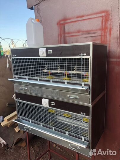 Брудер для цыплят 2 яруса. Новинка (бр-2-к)