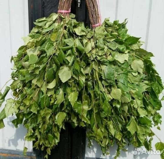 Березовые веники