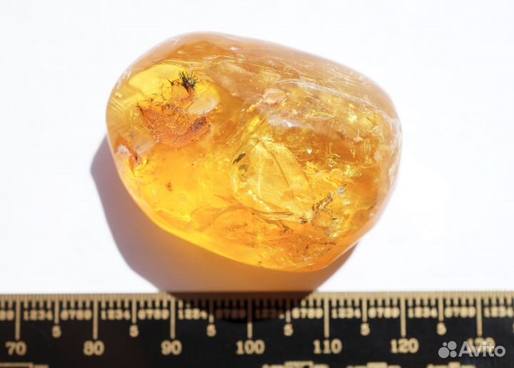 Натуральный балтийский янтарь с включением термита