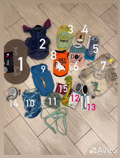 Вещи для маленькой собаки xs - s