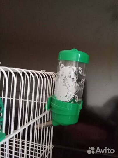 Джунгарский хомяк с клеткой