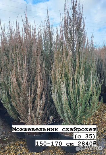 Чернозем,Торфосмесь,Перегной 1-3г,Навоз Крс,1/30т