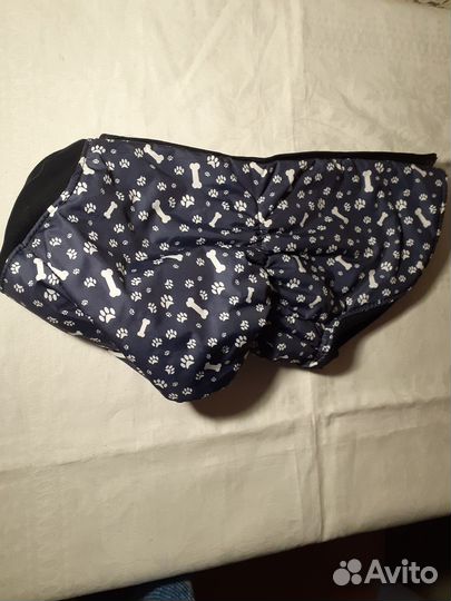 Одежда для собак мелких пород