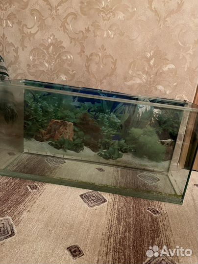 Аквариум