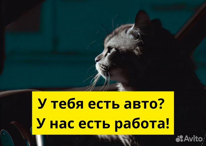 Личный тс и работа в Яндекс.Go