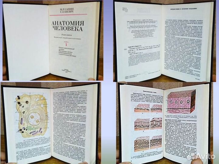 Анатомия человека М.Р. Сапин, Г.Л. Билич 2 тома