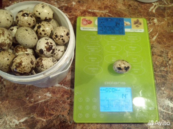 Яйца перепелиные