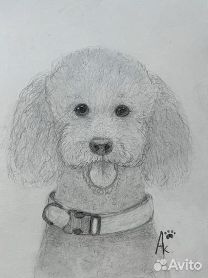 Рисунок собаки