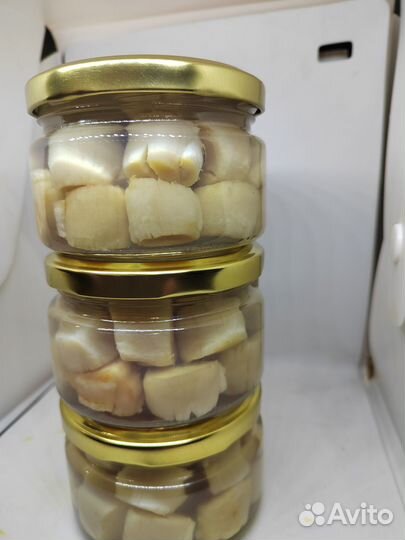 Морской гребешок