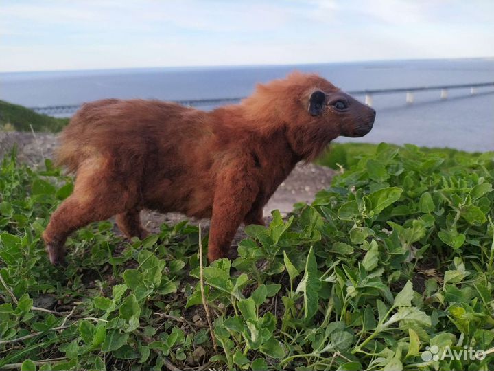 Капибара рыжая в смешанной технике