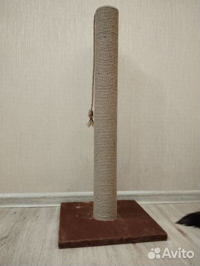 Когтеточка