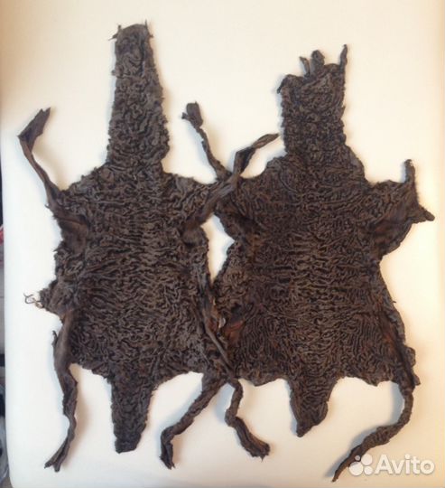 Каракуль-каракульча сур