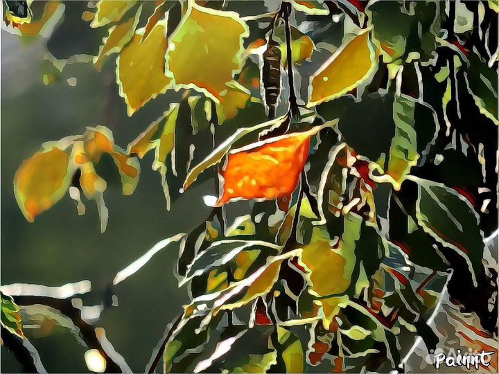 Фотокартины - Лучшие моменты осени Ангарск