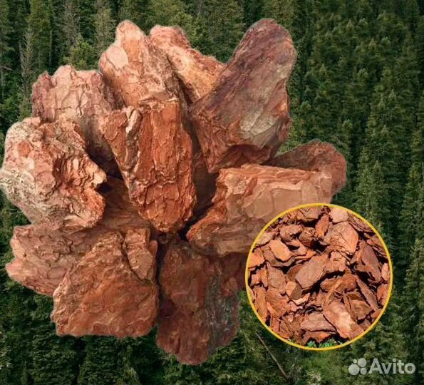 Кора сосны и лиственницы. Фракции: 0-1, 1-4, 4-10