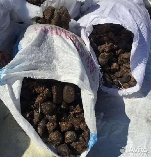 Чистый конский навоз в мешках