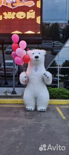 Поздравление от Белого Мишки. Медведь аниматор