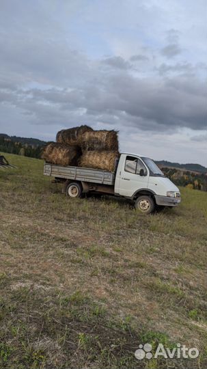 ГАЗ ГАЗель 3302 2.3 МТ, 2001, 101 000 км