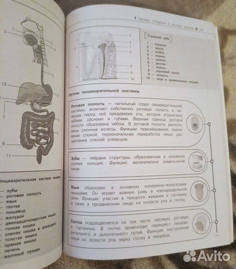 Книга биология Наглядный справочник