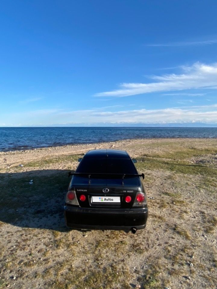 Lexus IS: фото владельца