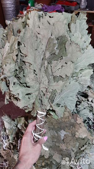 Дубовые веники для бани