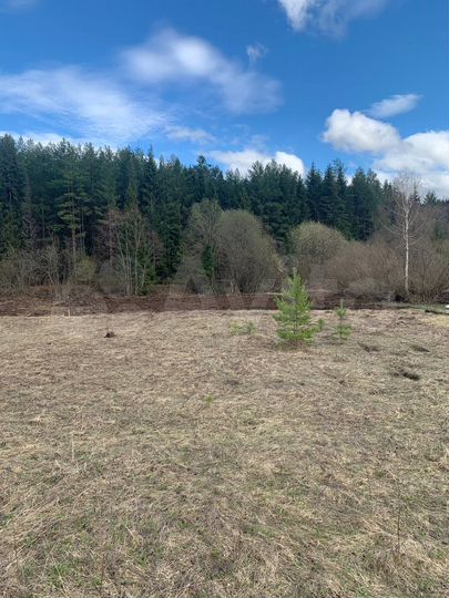 Участок 18 сот. (ИЖС)