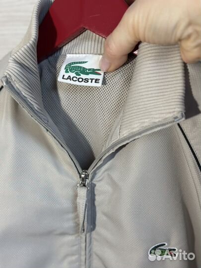 Олимпийка lacoste