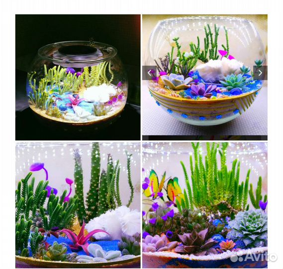 Флорариум подарочный премиум