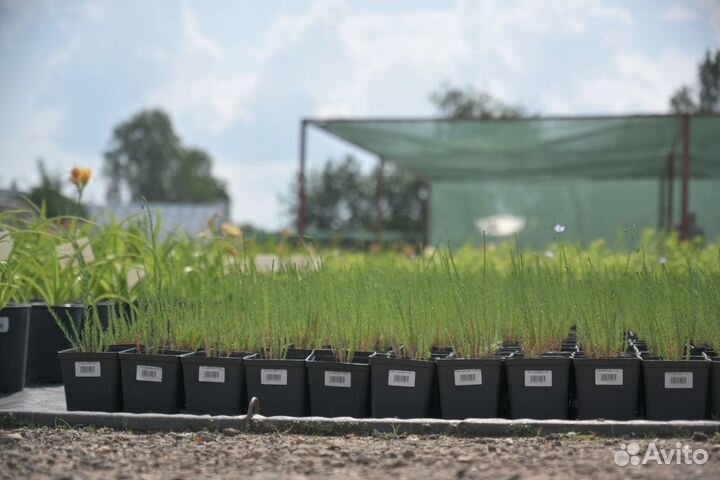 Сетка-теневка