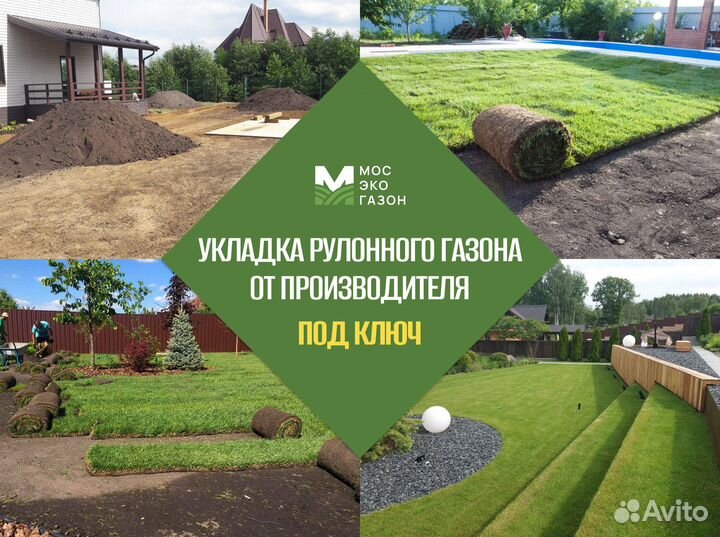 Рулонный газон с укладкой