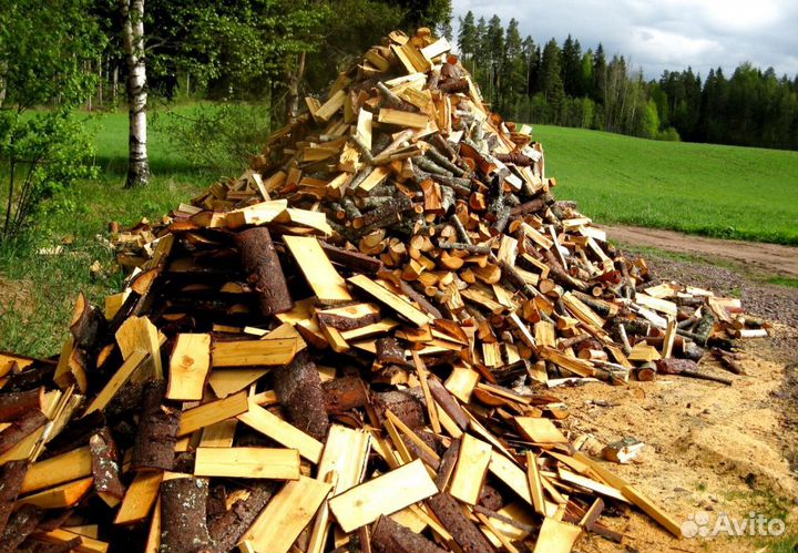 Дрова образцовые