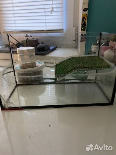 Аквариум для маленьких черепах