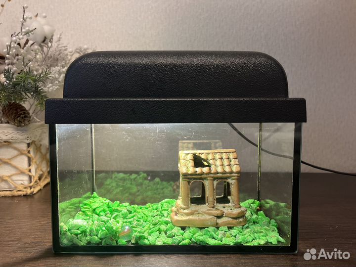 Аквариум