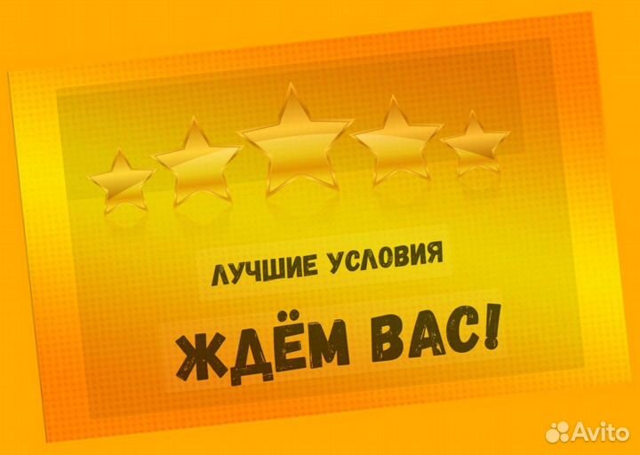 Наборщик заказов Без опыта Еженедельные выплаты