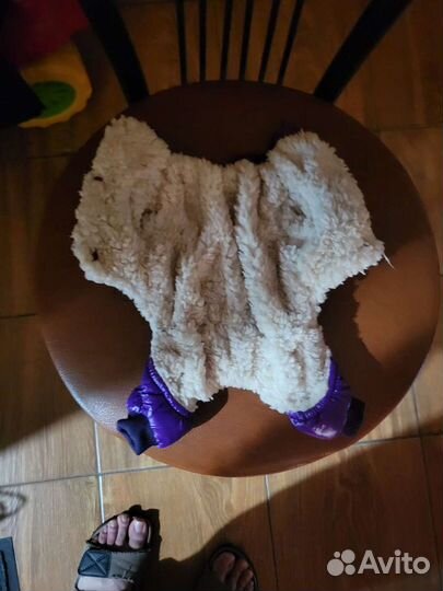 Курточка для собак мелких пород